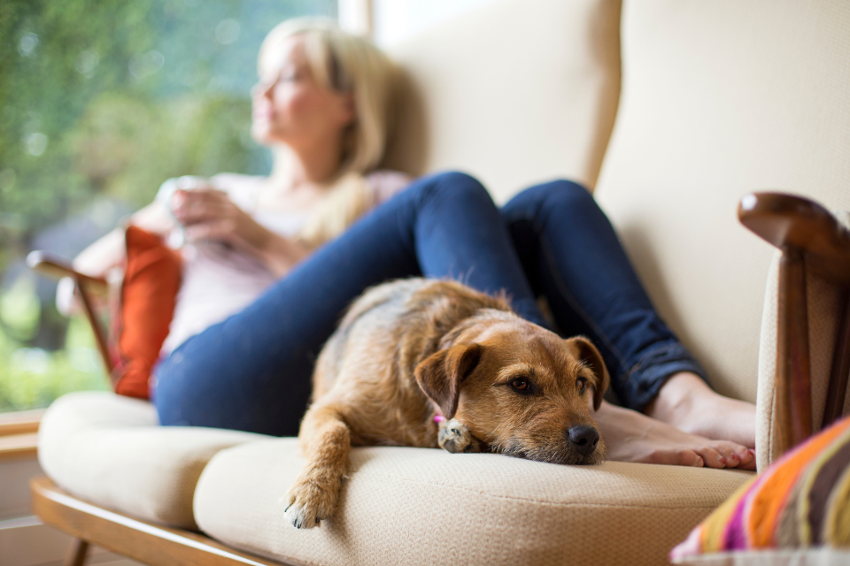 The ‘Right to Disconnect’